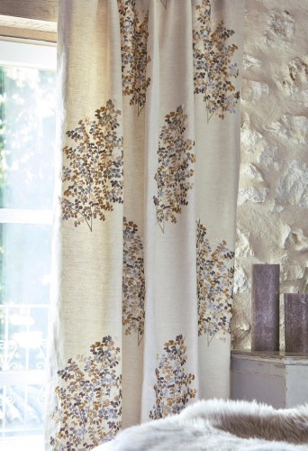 S Elysian 42 Wendell