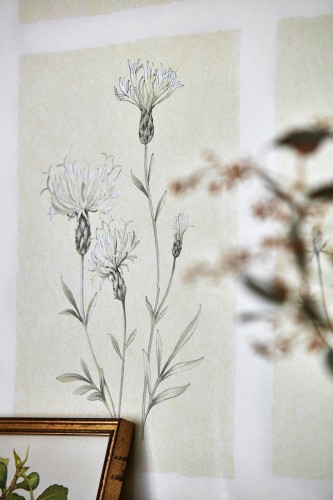 Sanderson 2018 EmbletonBay Little-Thistle 68