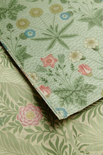Daisy-and-Larkspur-archive-shot Med