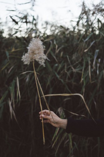 Babes in Boyland Sandberg vassen-Photo Matilda-Hildingsson-Stylist Nathalie-Myrberg