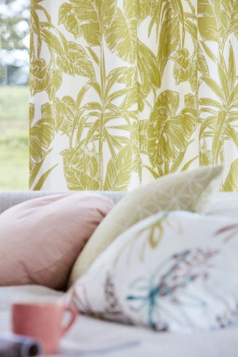 Scion Zanzibar 2019 05 ParlourPalm