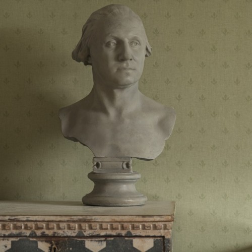 Bust-in-front-of-Crocus-leaf-wallpaper