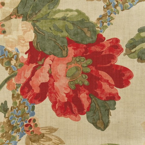 PeonyNaturalcLg