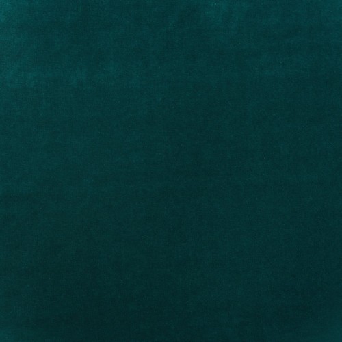 Medici-KingfisherLg