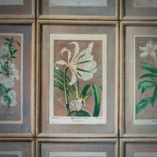 Floral-wallpaper-close-up-3-sml