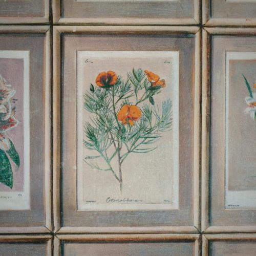 Floral-wallpaper-close-up-4-sml