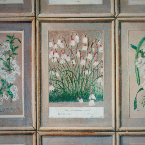 Floral-wallpaper-close-up-5-sml