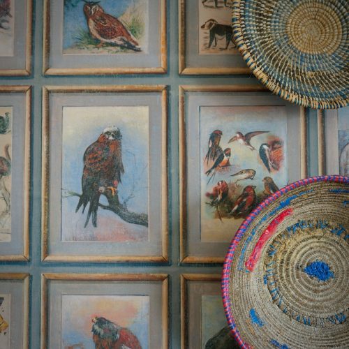 Zoology-wallpaper-close-up-2-sml