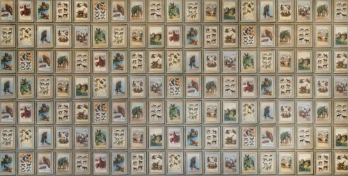 Zoology-wallpaper-full-repeat-clean-lifestyle-sml