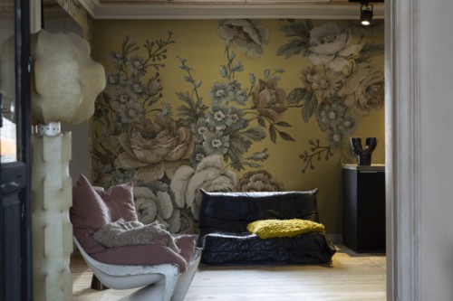 R18495 Efraim Saffron Rebel-Walls image3