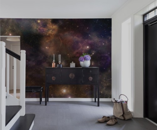 R16911 Star-Galaxy Rebel-Walls-14-image3